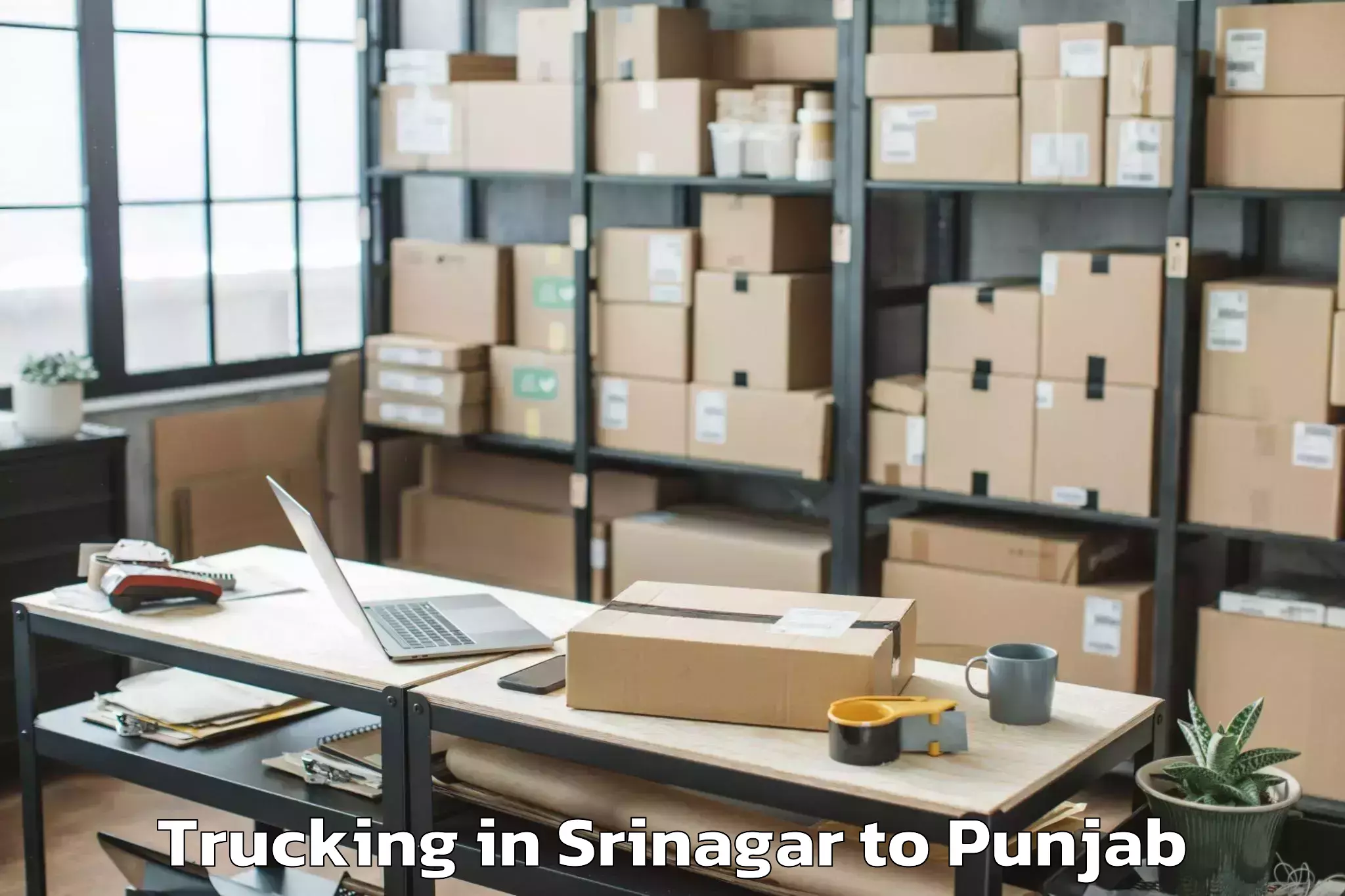 Leading Srinagar to Gna University Phagwara Trucking Provider